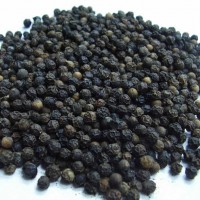 Black Pepper, Kali Mirch, Peppercorns, Miriyalu, Milagu (500 Grams)